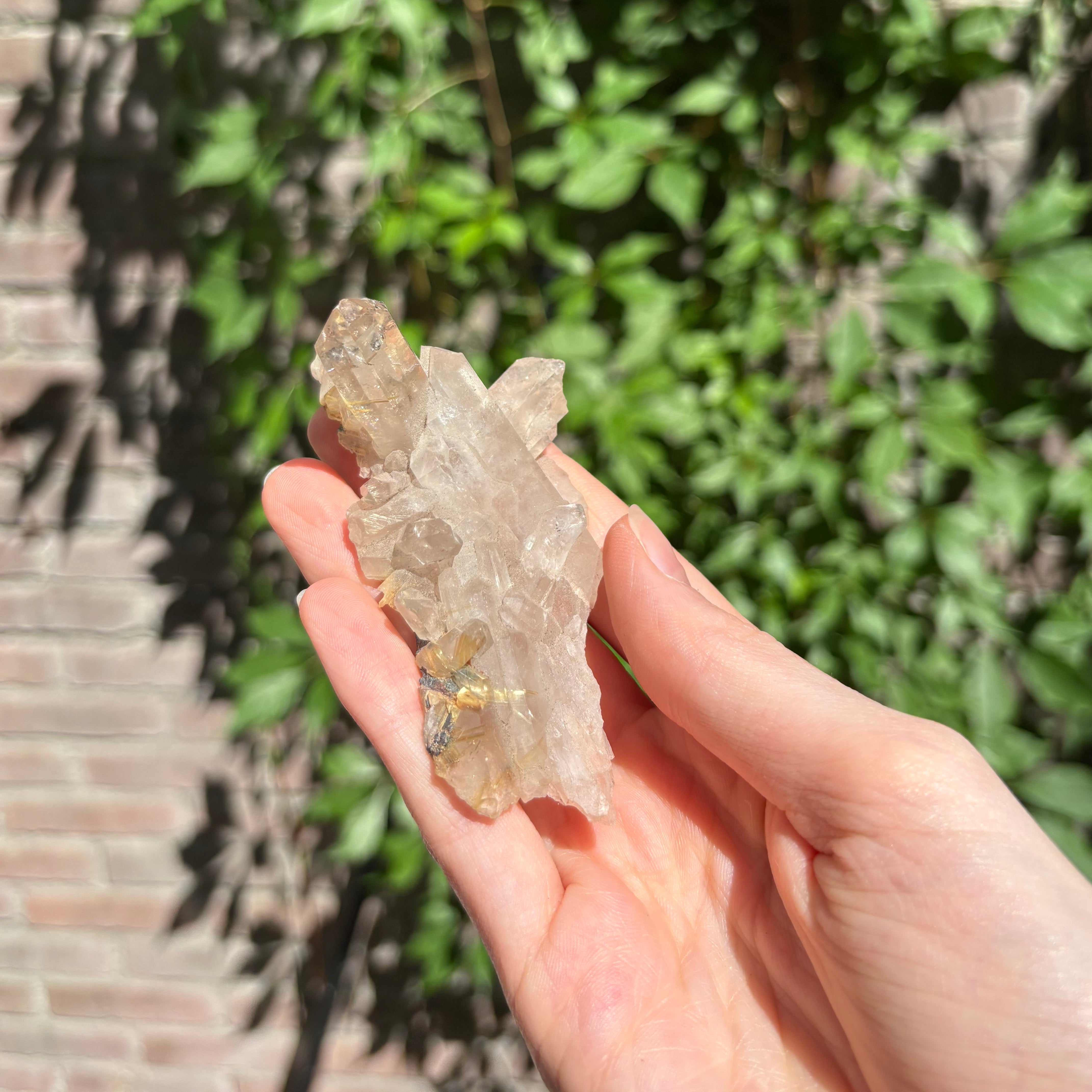 Smoky Quartz & Rutilated Quartz - Crystal