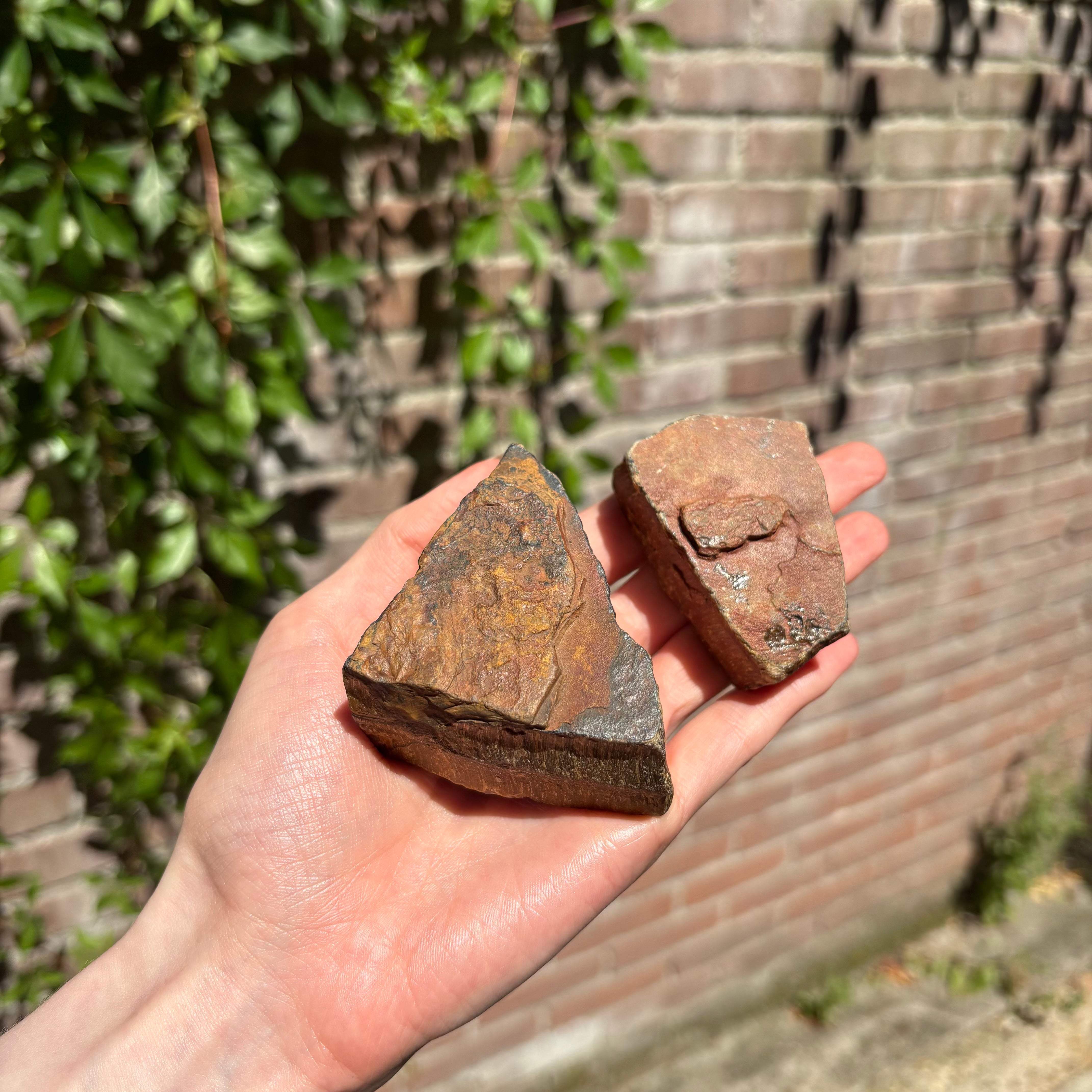 Raw Tiger Eye Stone - Crystals