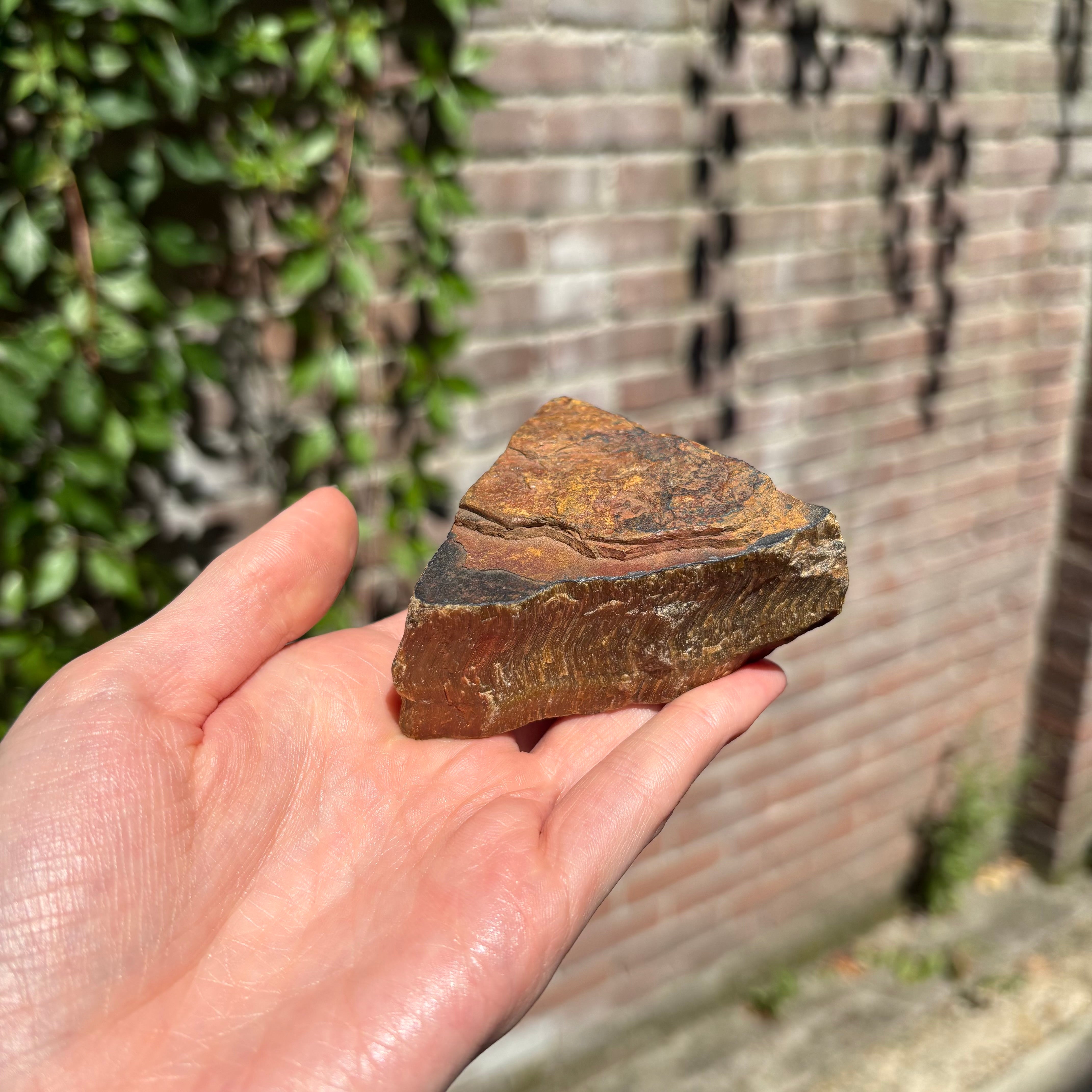 Raw Tiger Eye Stone - Crystals
