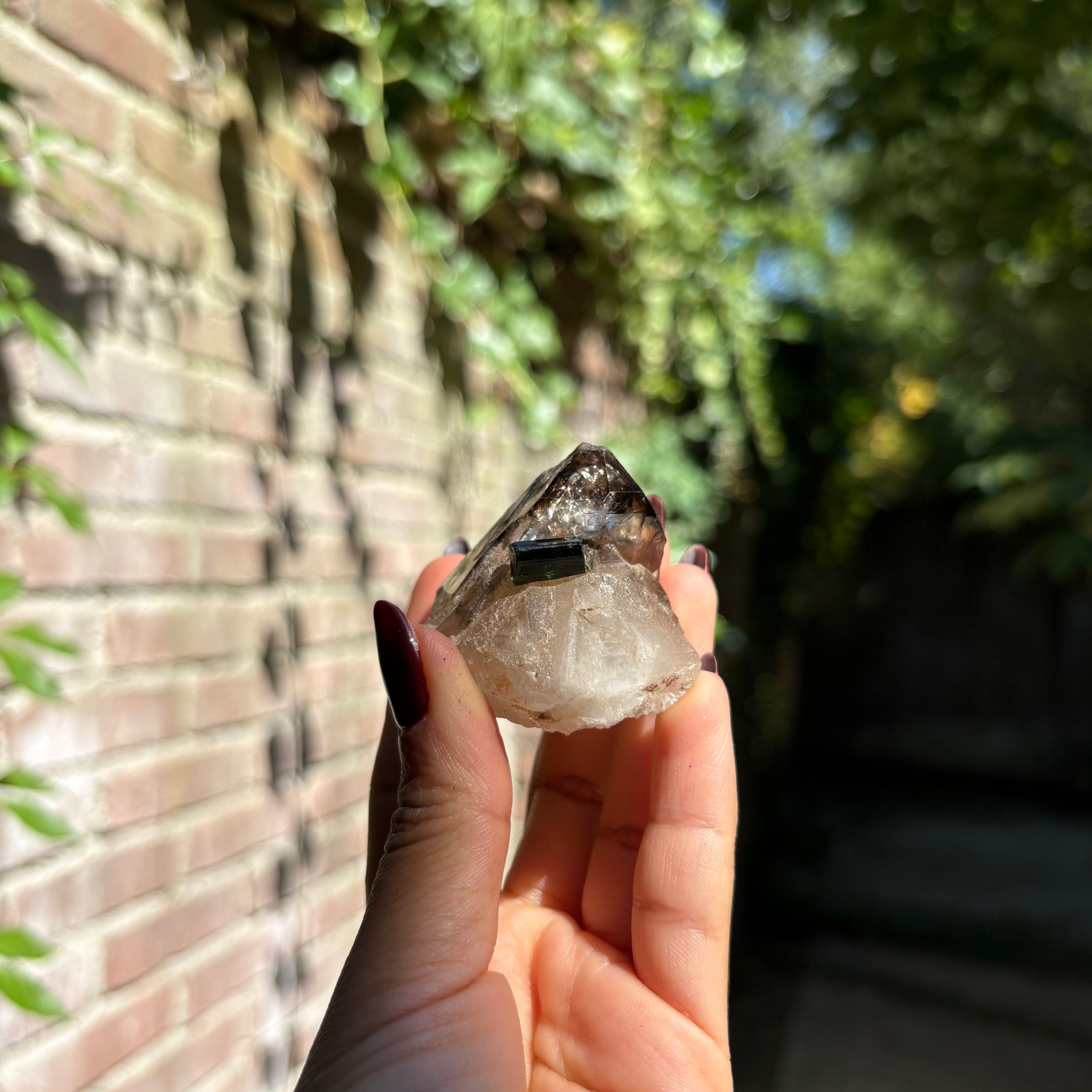 Natural Elestial Quartz - Crystal