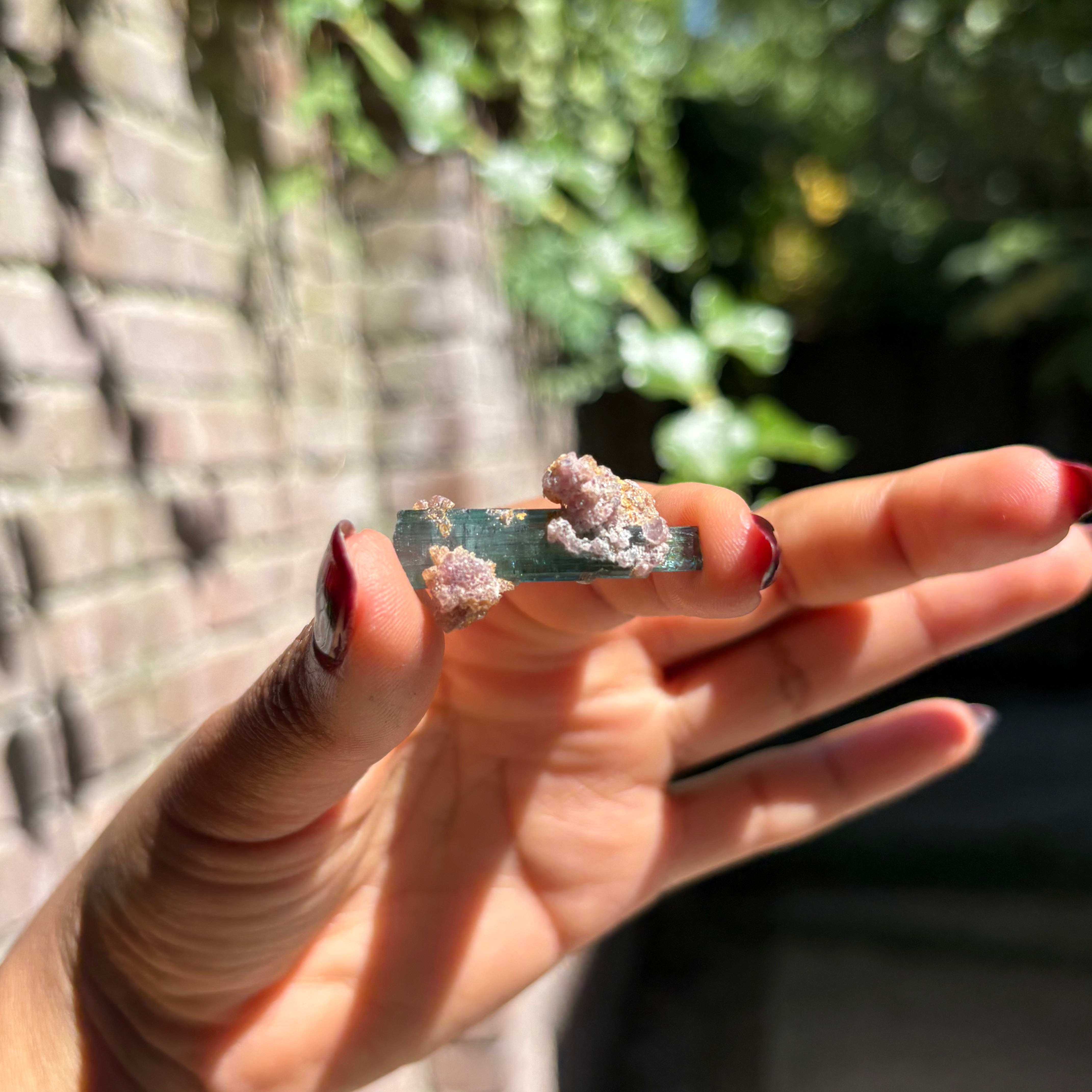Blue Tourmaline Crystal - Various