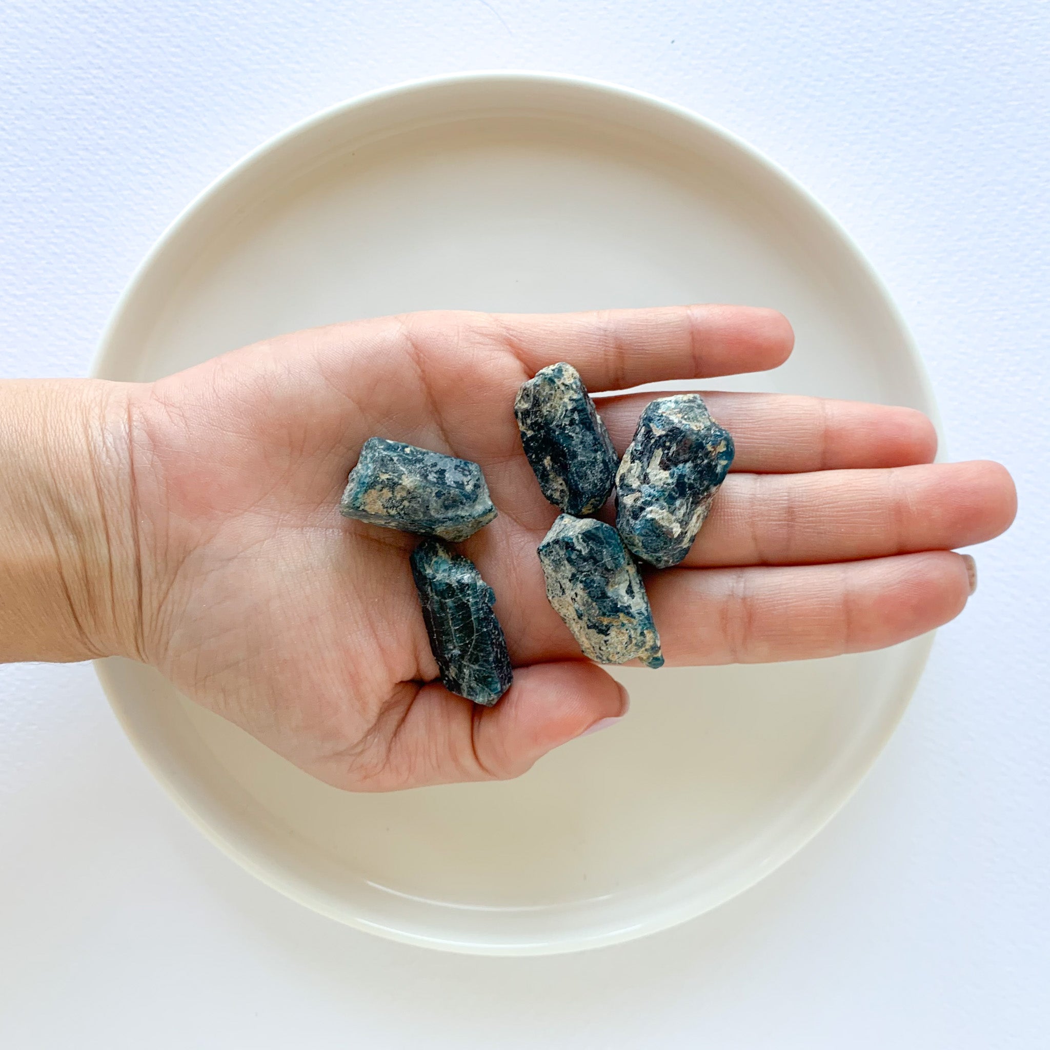 Blue Apatite - Small Rough Stones