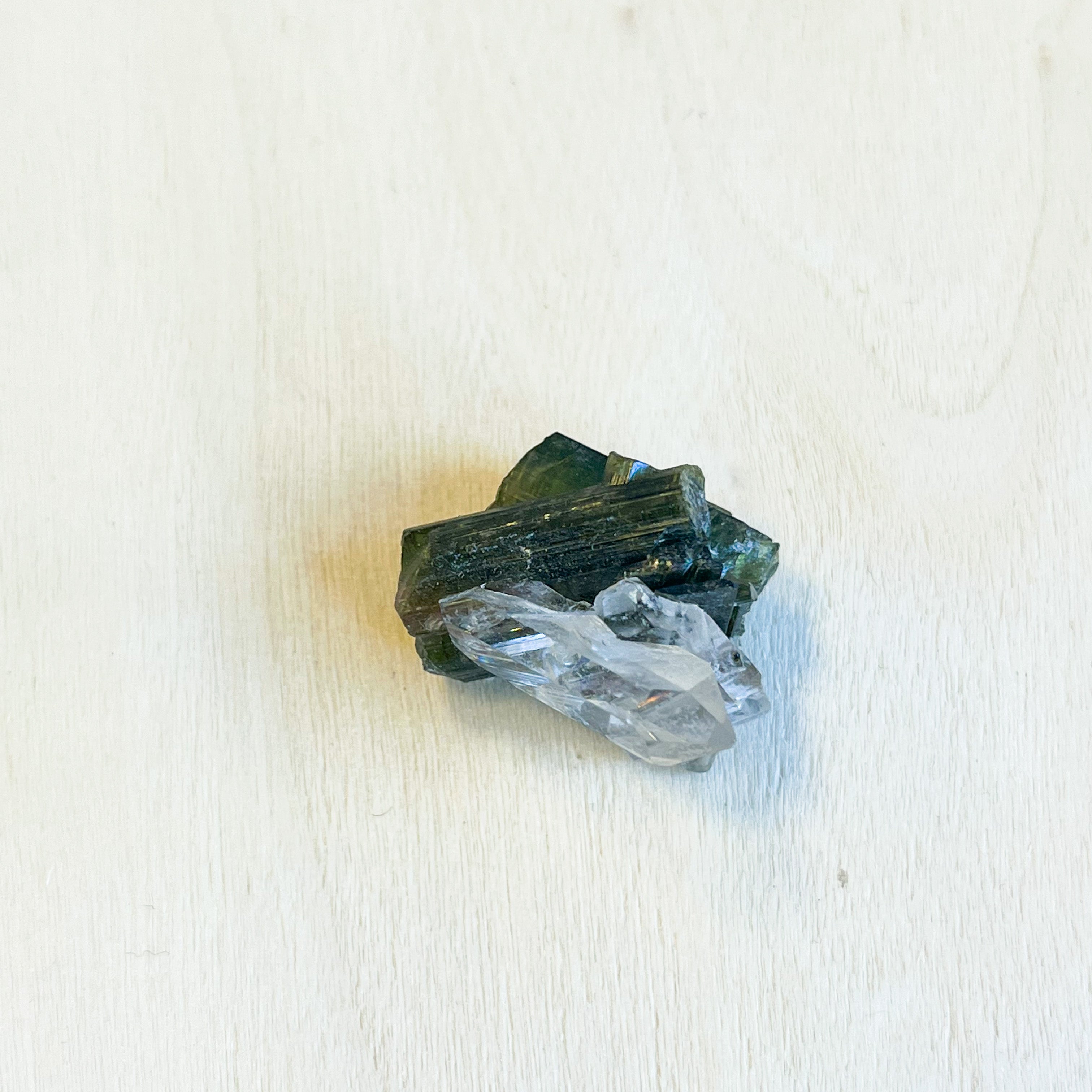 Watermelon Tourmaline Specimen - Crystal