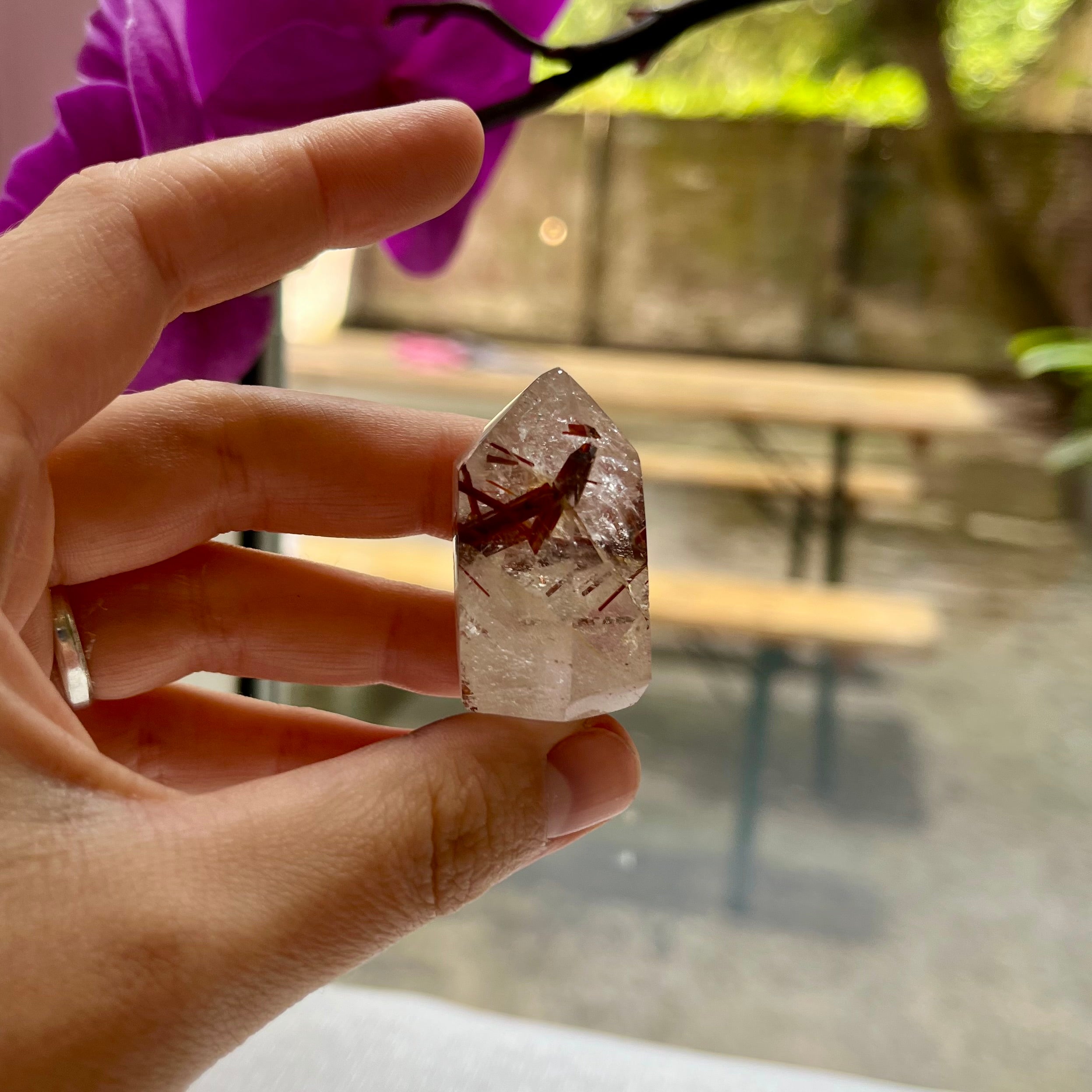 Rutilated Quartz Point - Crystal