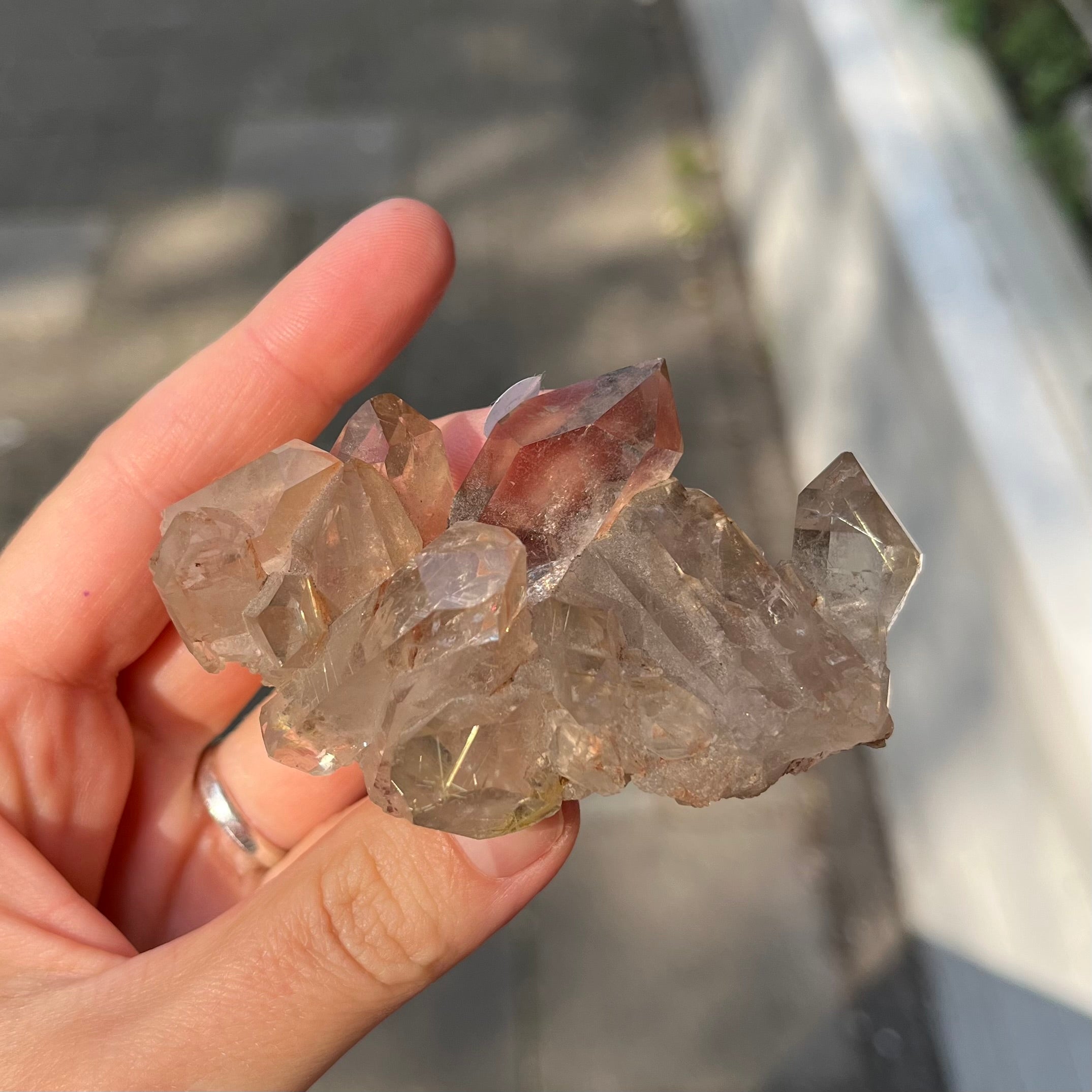 Smoky Quartz & Rutilated Quartz - Crystal
