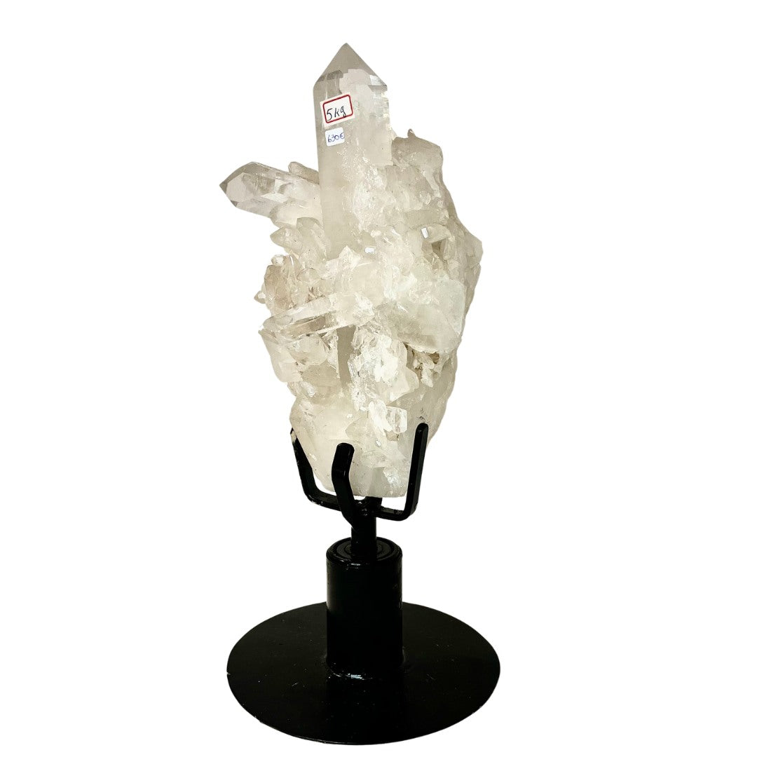 Clear Quartz with Lemurian - Lemurian Echo - Crystal