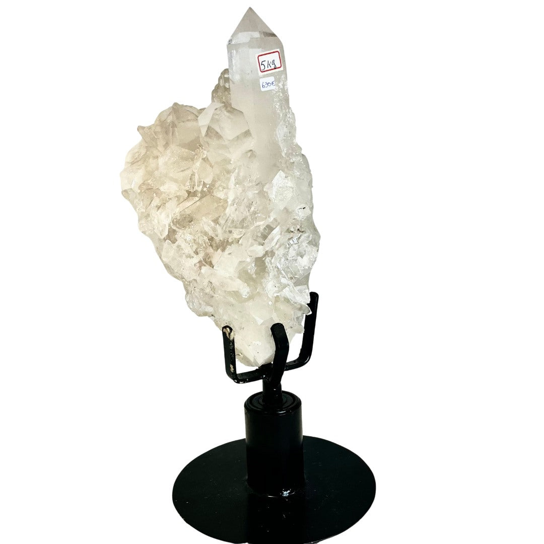 Clear Quartz with Lemurian - Lemurian Echo - Crystal