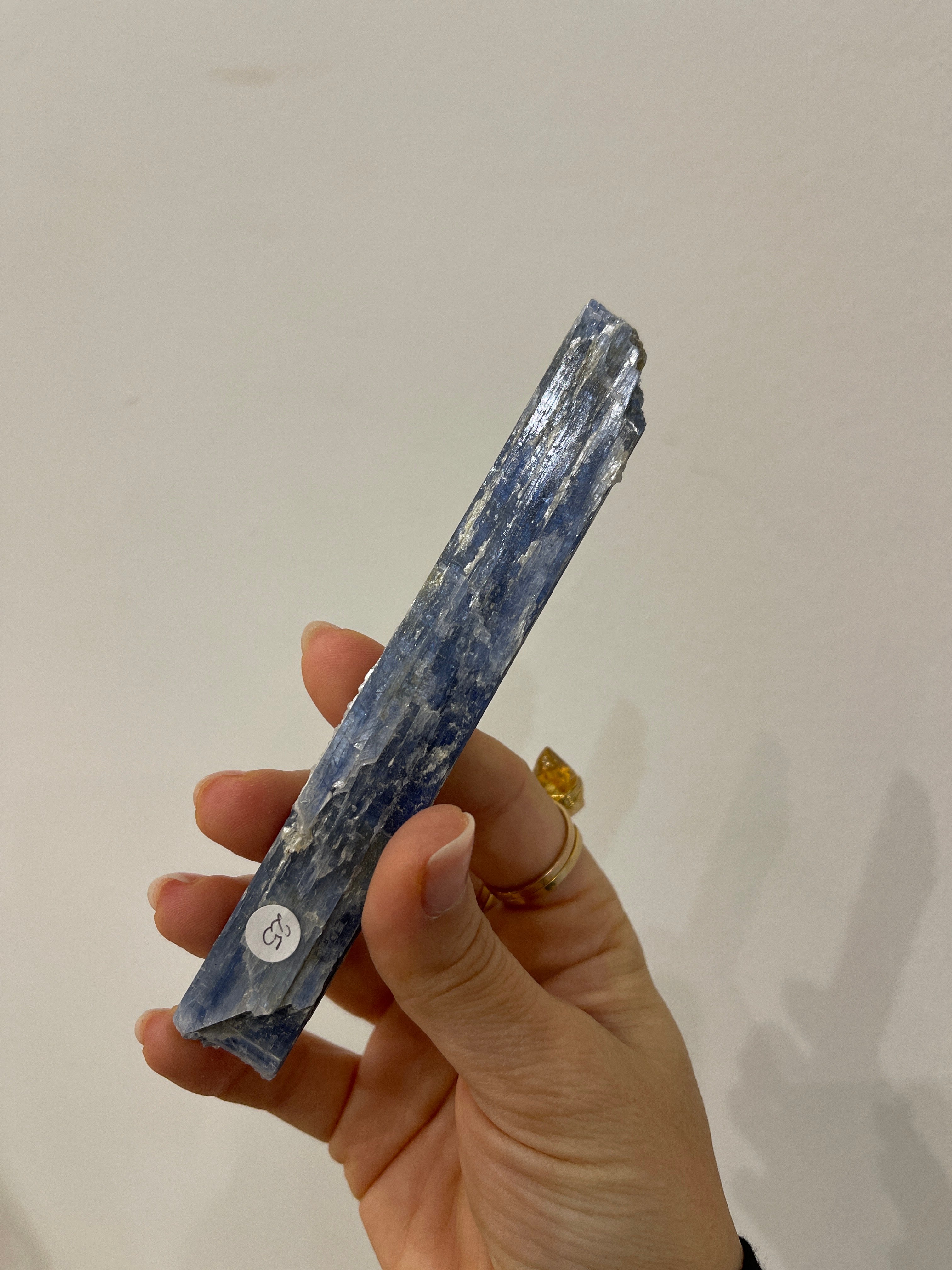 Rough Blue Kyanite and Pyrite (sold separatly)