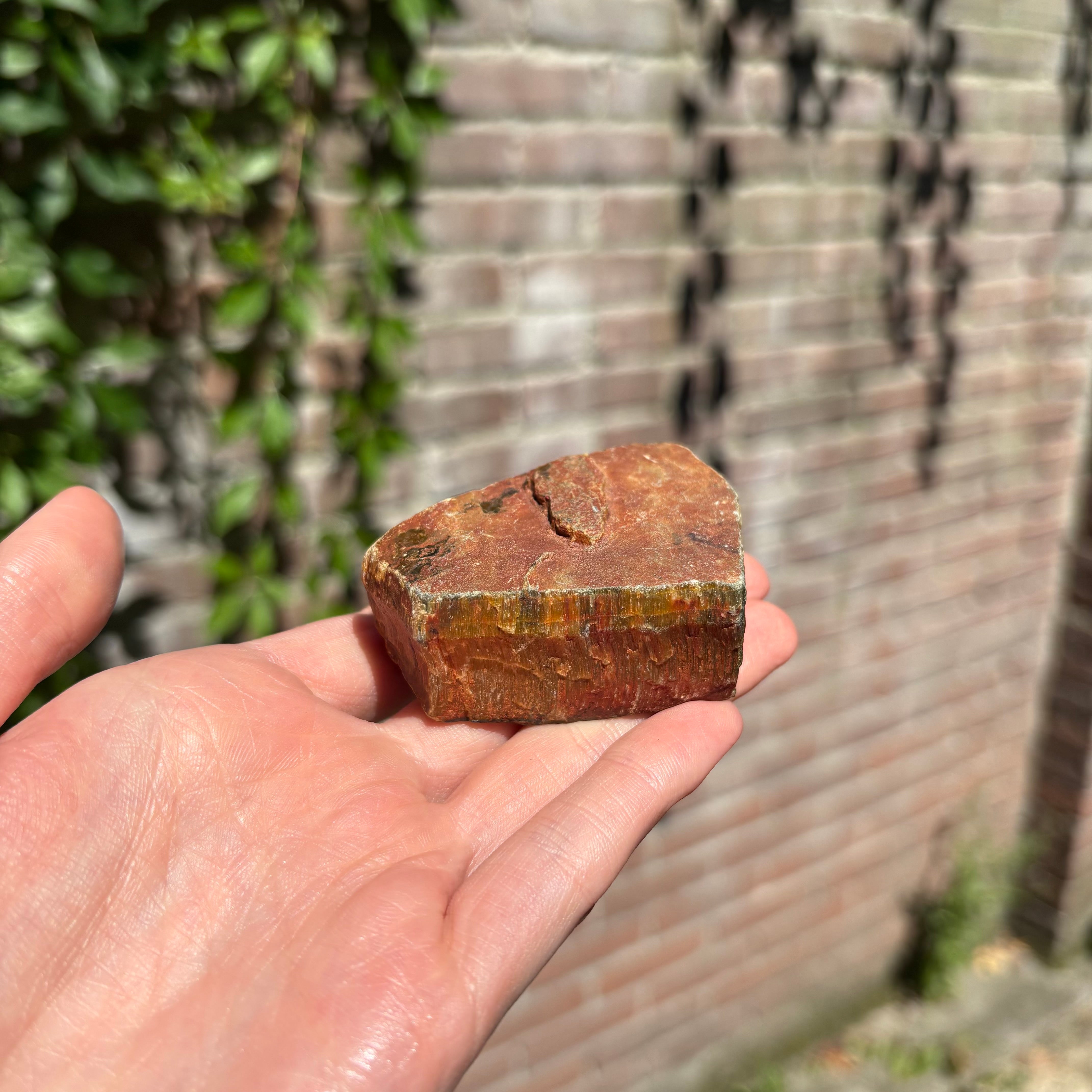Raw Tiger Eye Stone - Crystals