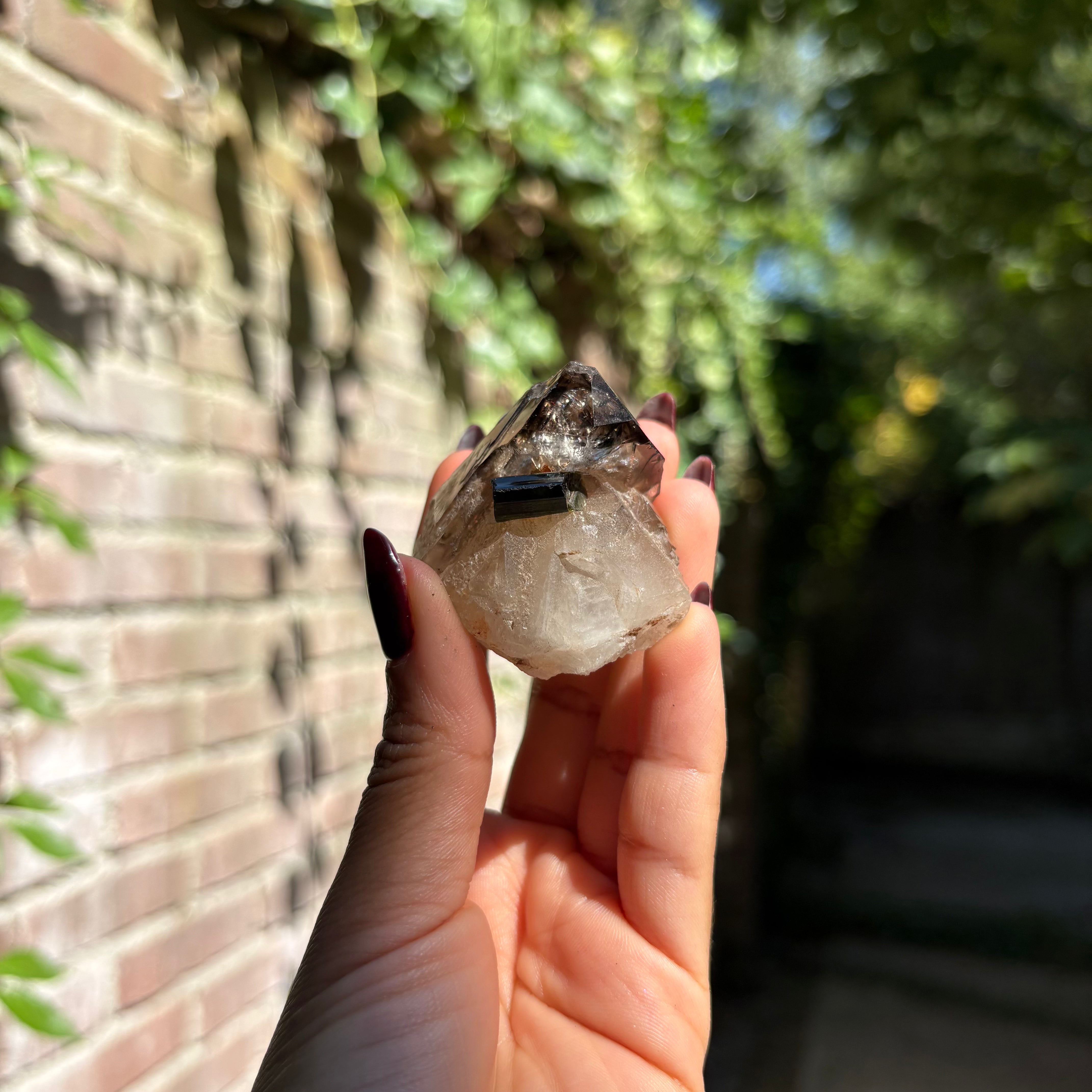 Natural Elestial Quartz - Crystal
