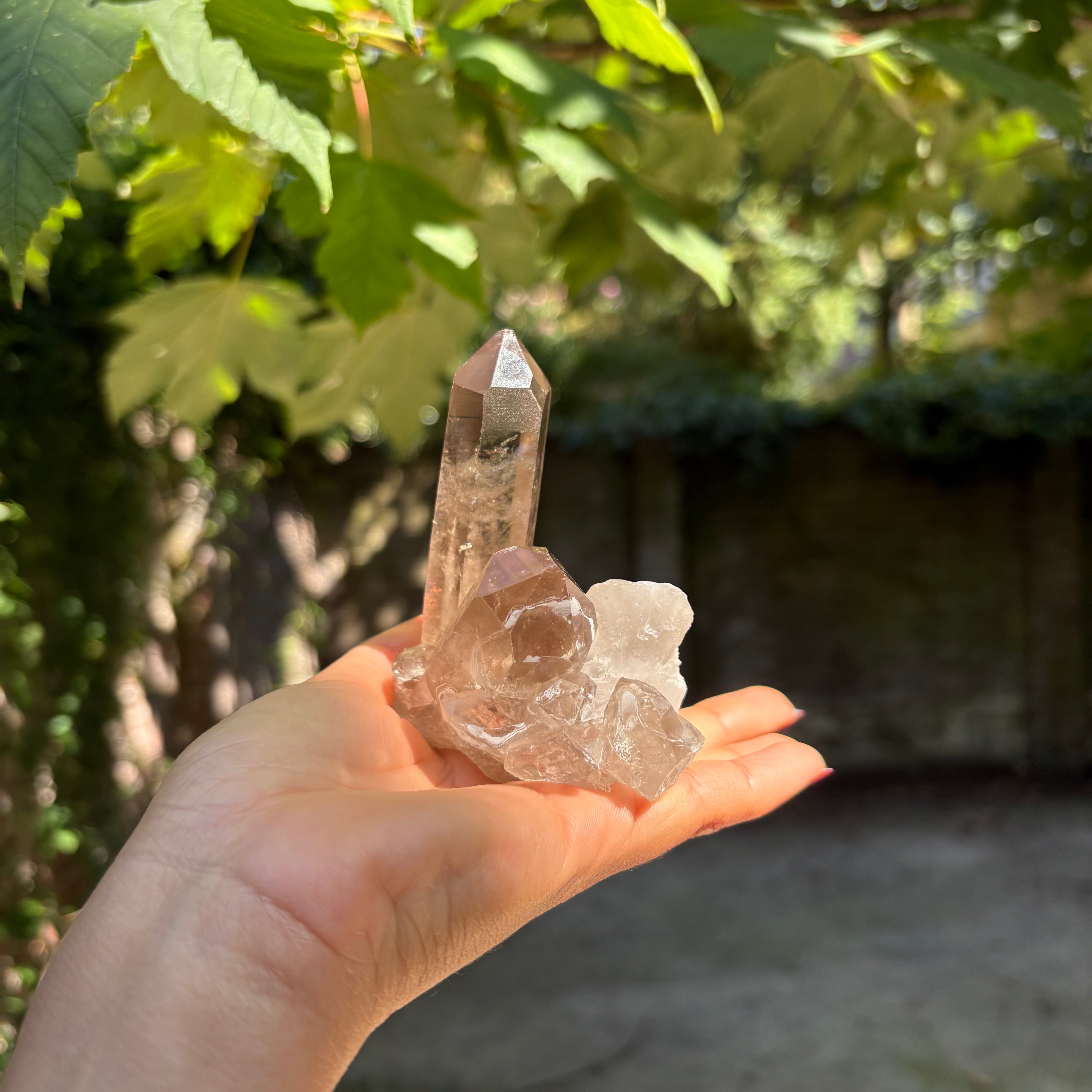 Smoky Quartz Double Point - Crystal