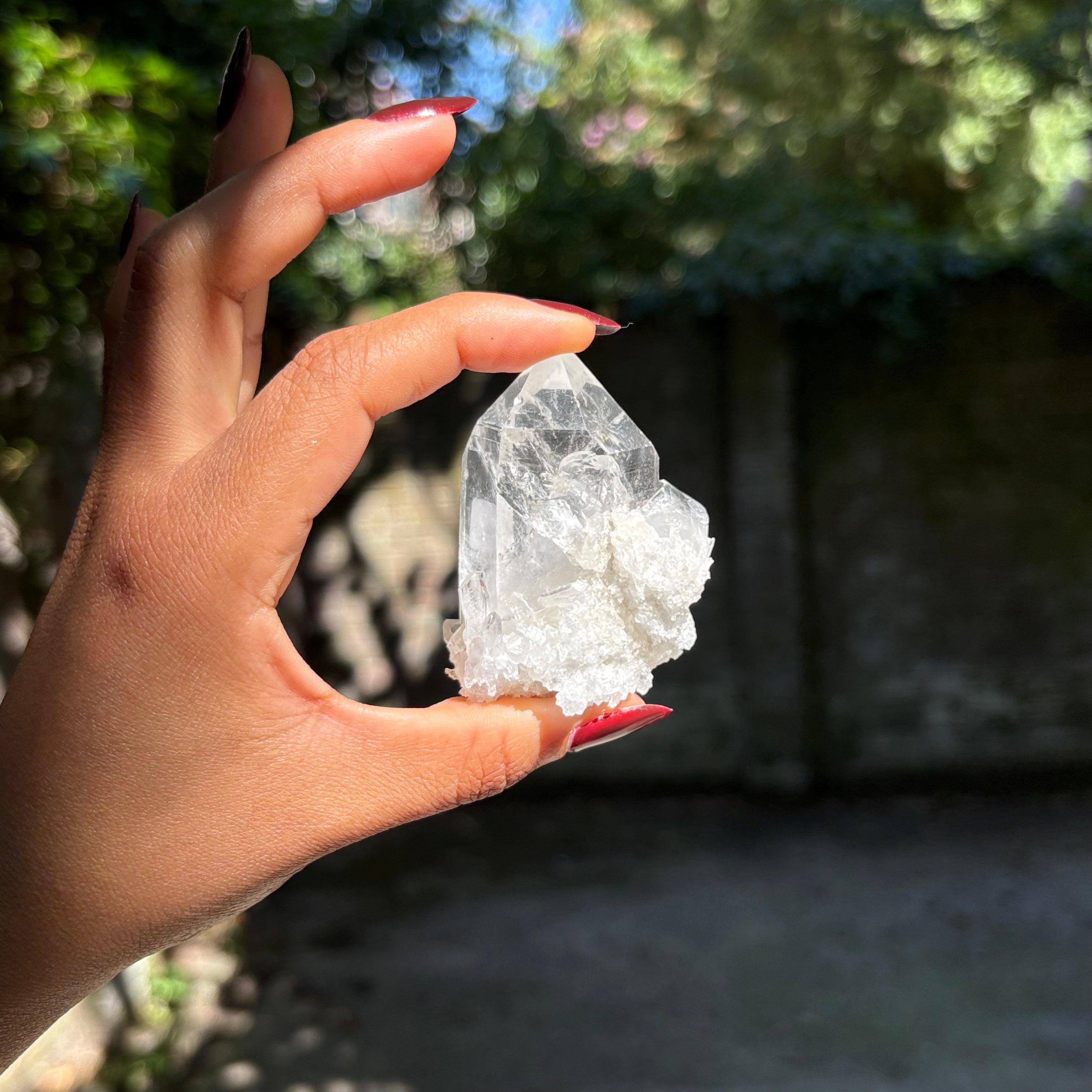 Clear Quartz Cluster