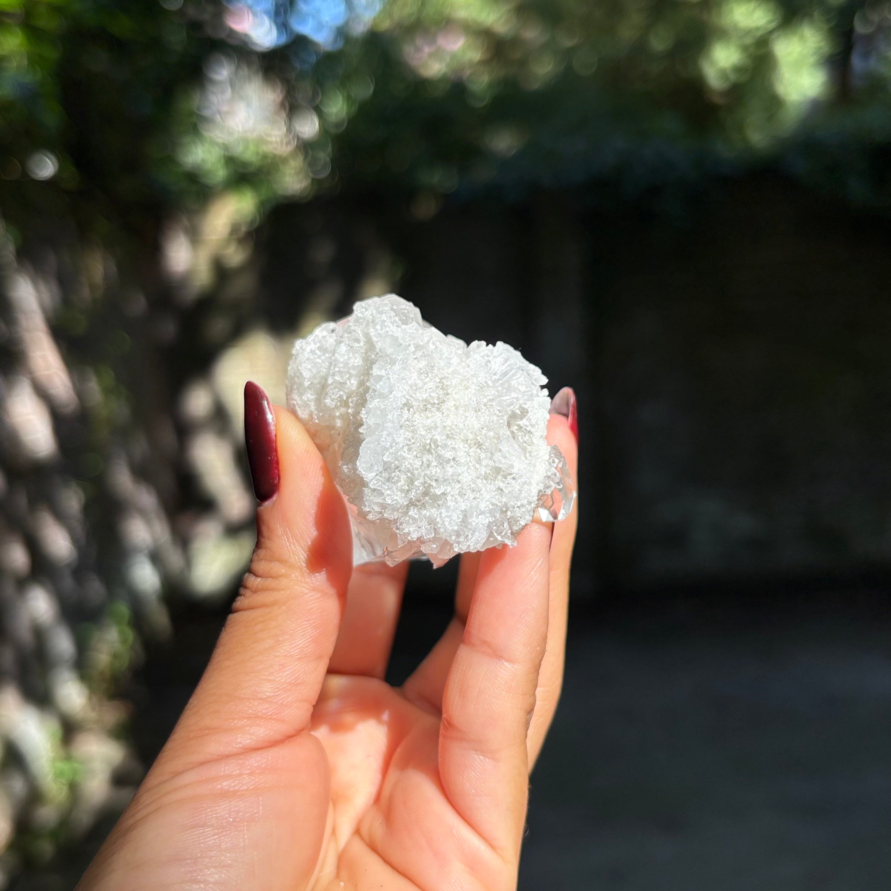 Clear Quartz Cluster