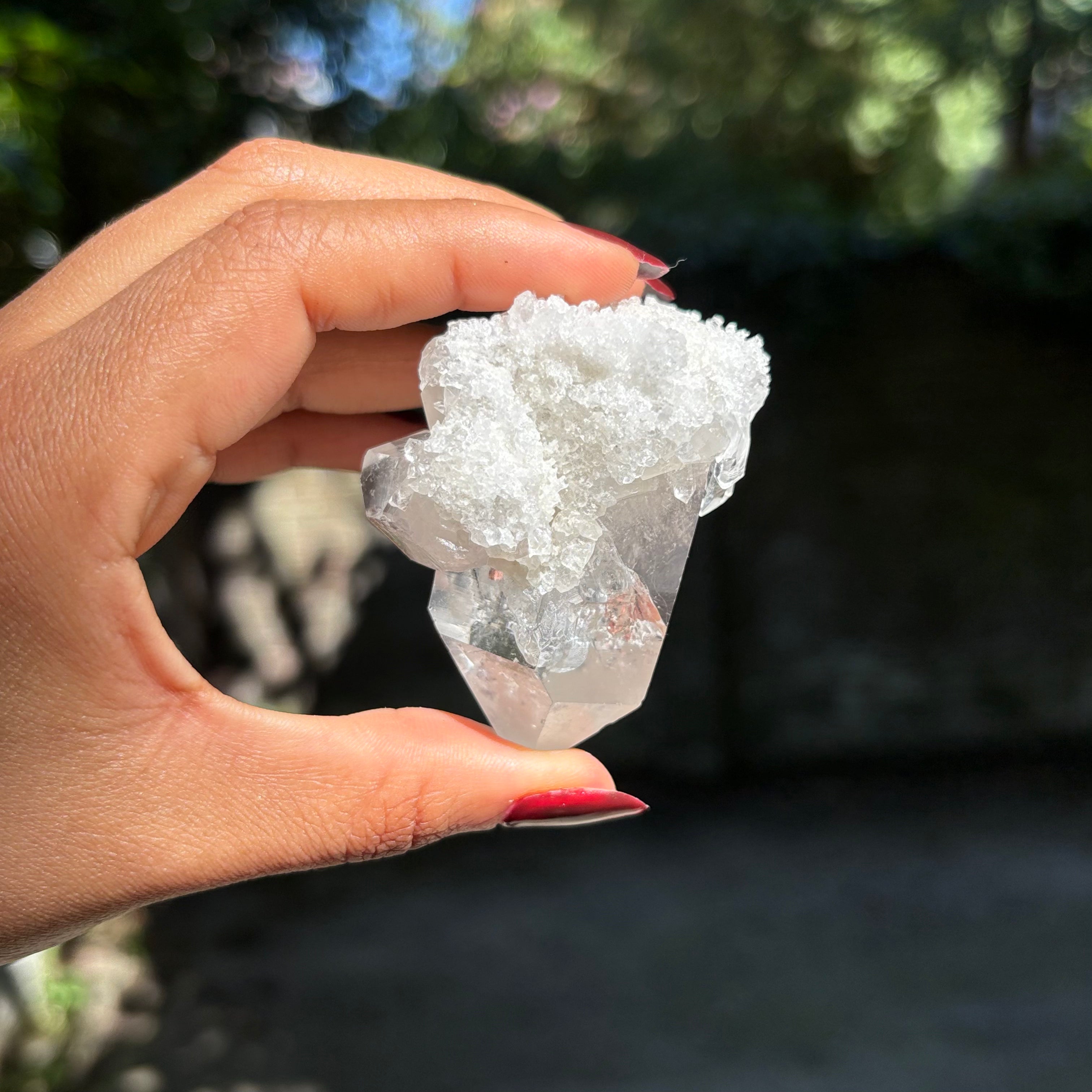 Clear Quartz Cluster