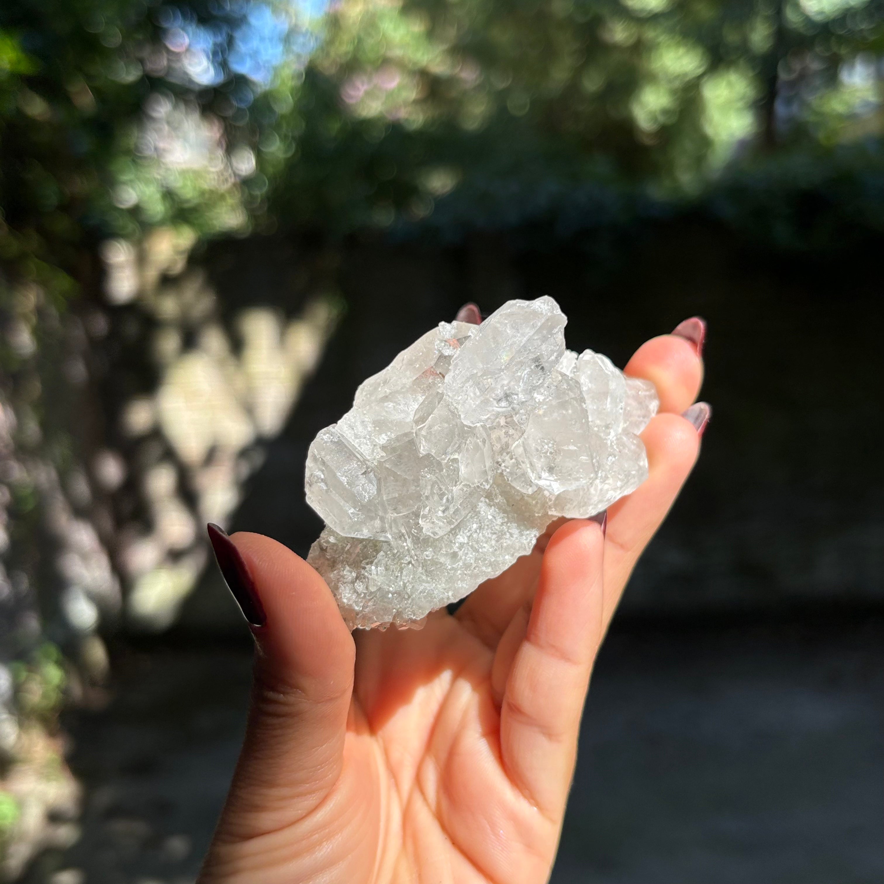 Clear Quartz Cluster