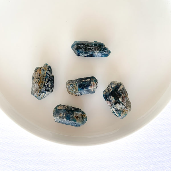 Blue Apatite - Small Rough Stones