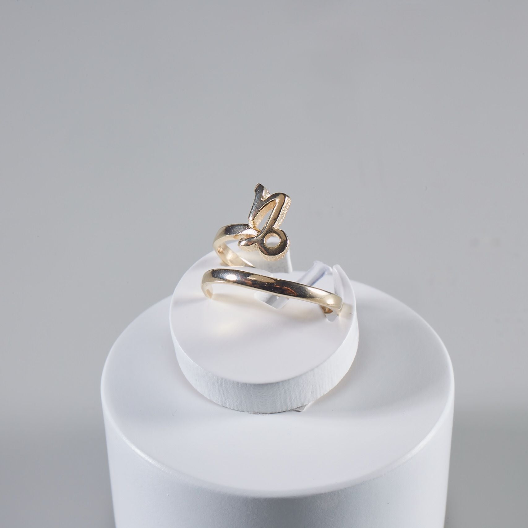 Zodiac Sign Rings - 18k Gold Plated