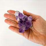 Amethyst Geode