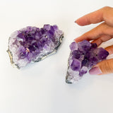 Amethyst Geode - Crystal